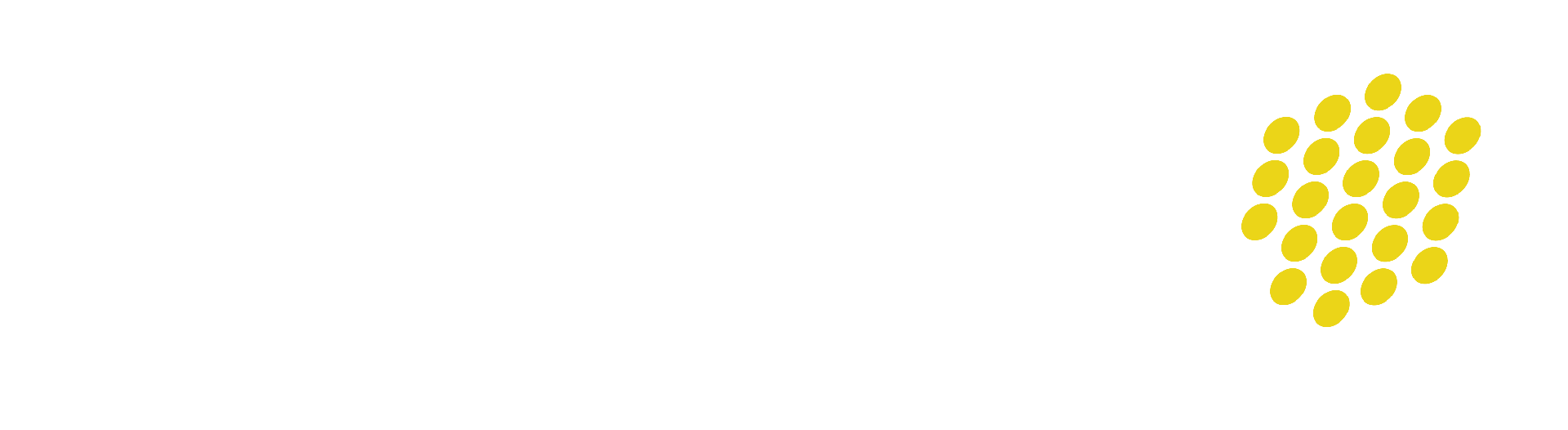 The DPF Co.
